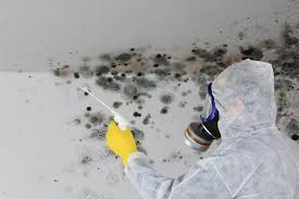 Best Mold Prevention Services  in Vandenberg Af, CA